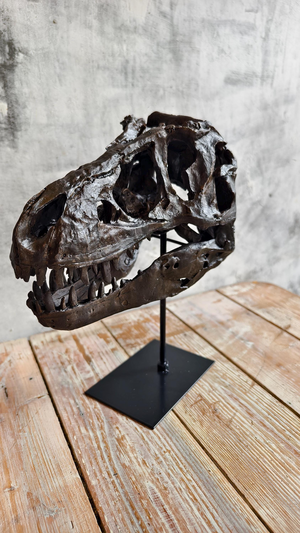 Realistic Tyrannosaurus (T-Rex) Skull Replica