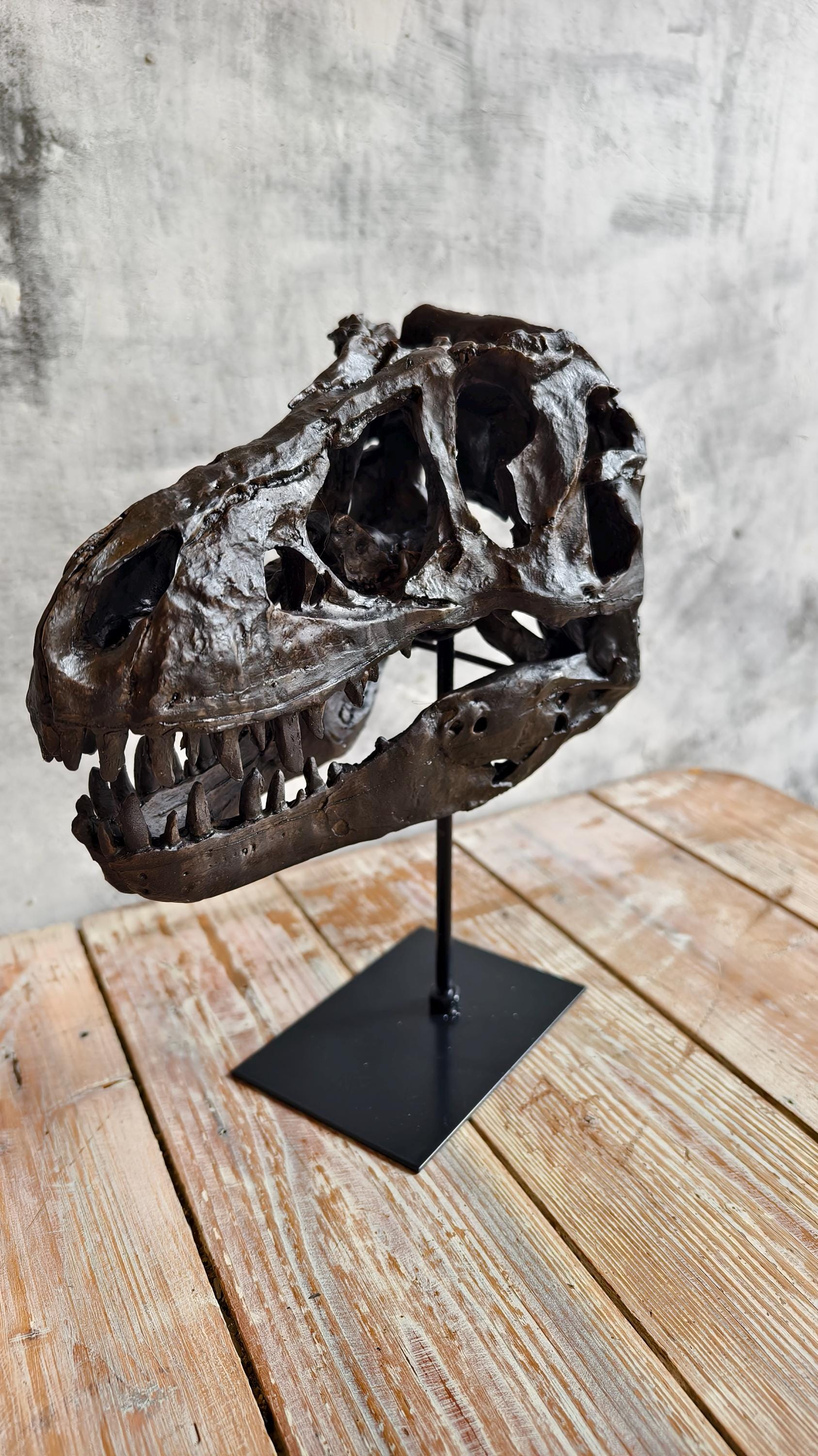 Realistic Tyrannosaurus (T-Rex) Skull Replica