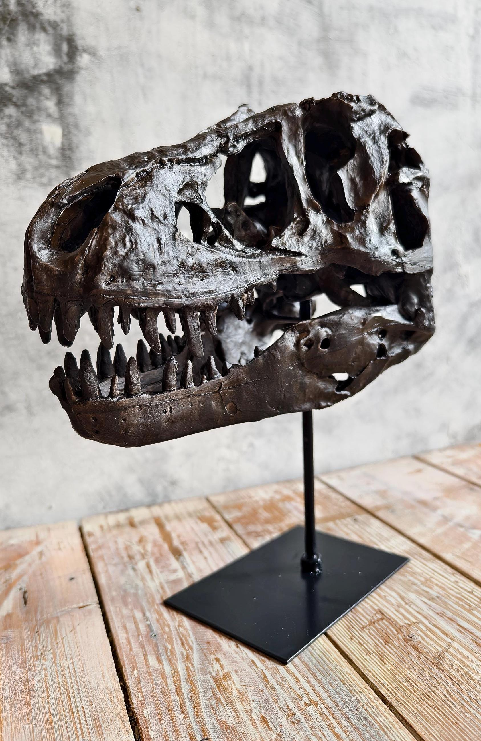 Realistic Tyrannosaurus (T-Rex) Skull Replica