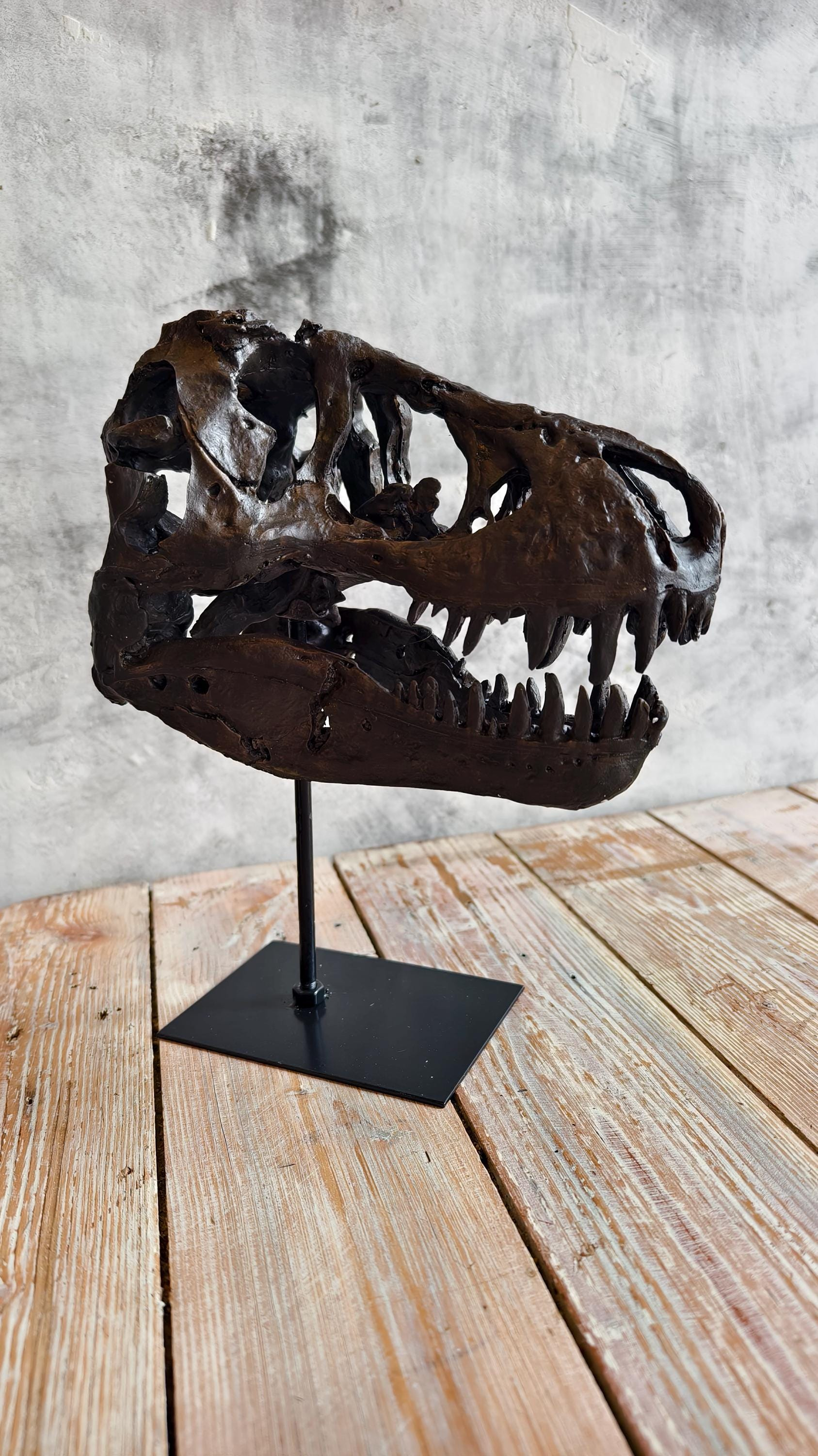 Realistic Tyrannosaurus (T-Rex) Skull Replica