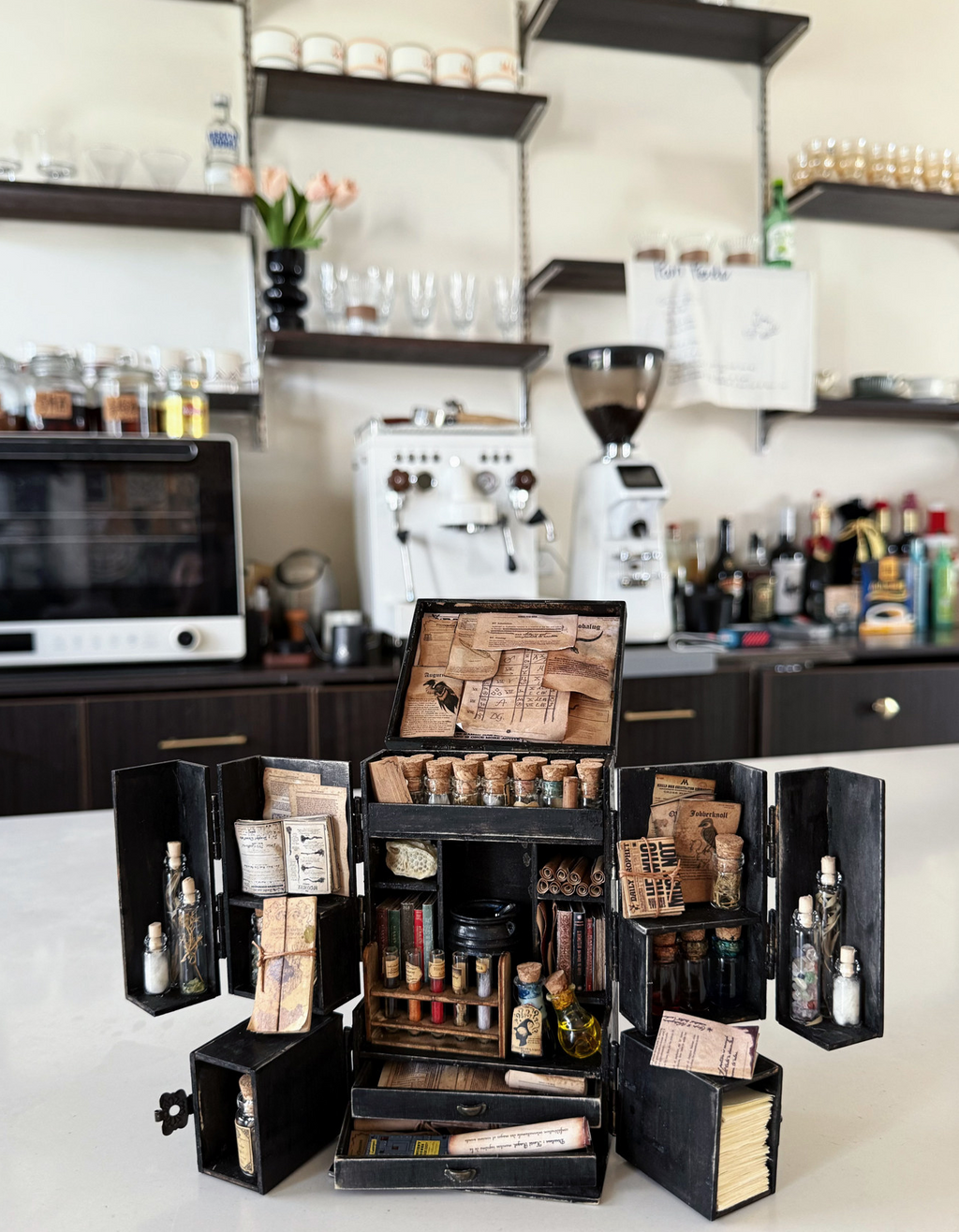 Harry Potter's Potions Cabinet Ultra-Detailed Miniature Closable Travel Apothecary Cabinet DIY Kit