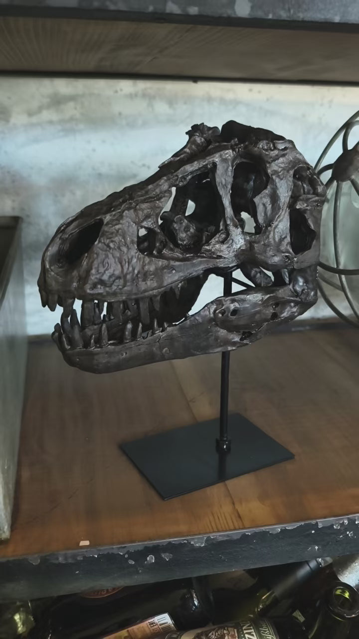 Realistic Tyrannosaurus (T-Rex) Skull Replica