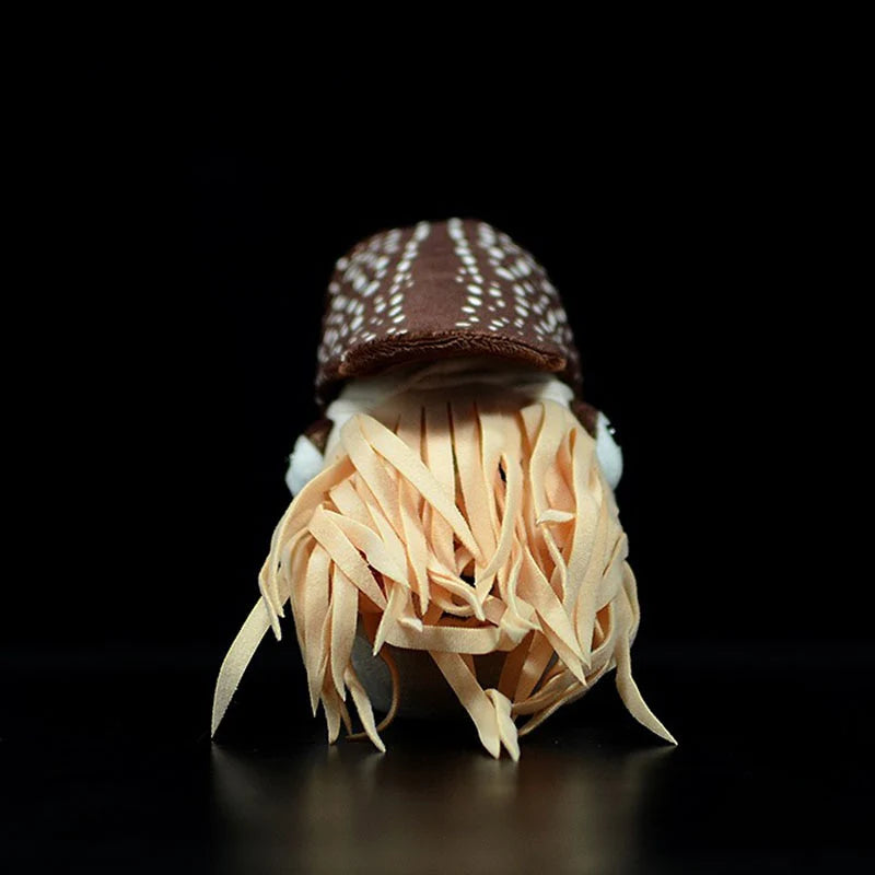 Chambered Nautilus Stuffed Soft Plushie Toy Doll