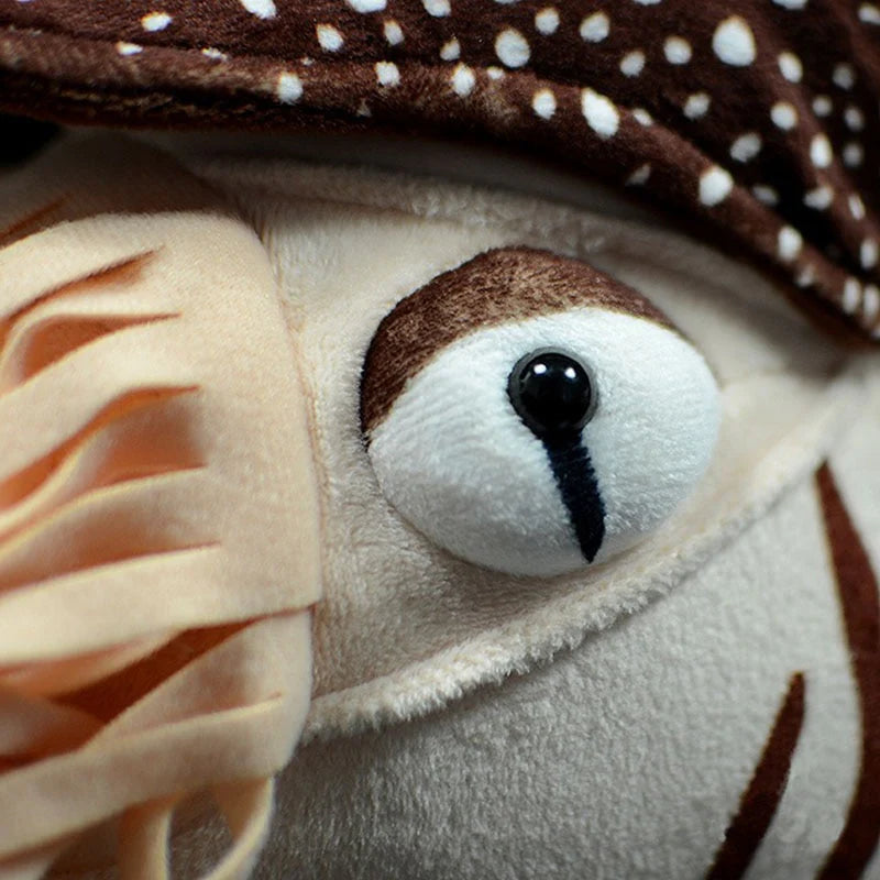 Chambered Nautilus Stuffed Soft Plushie Toy Doll