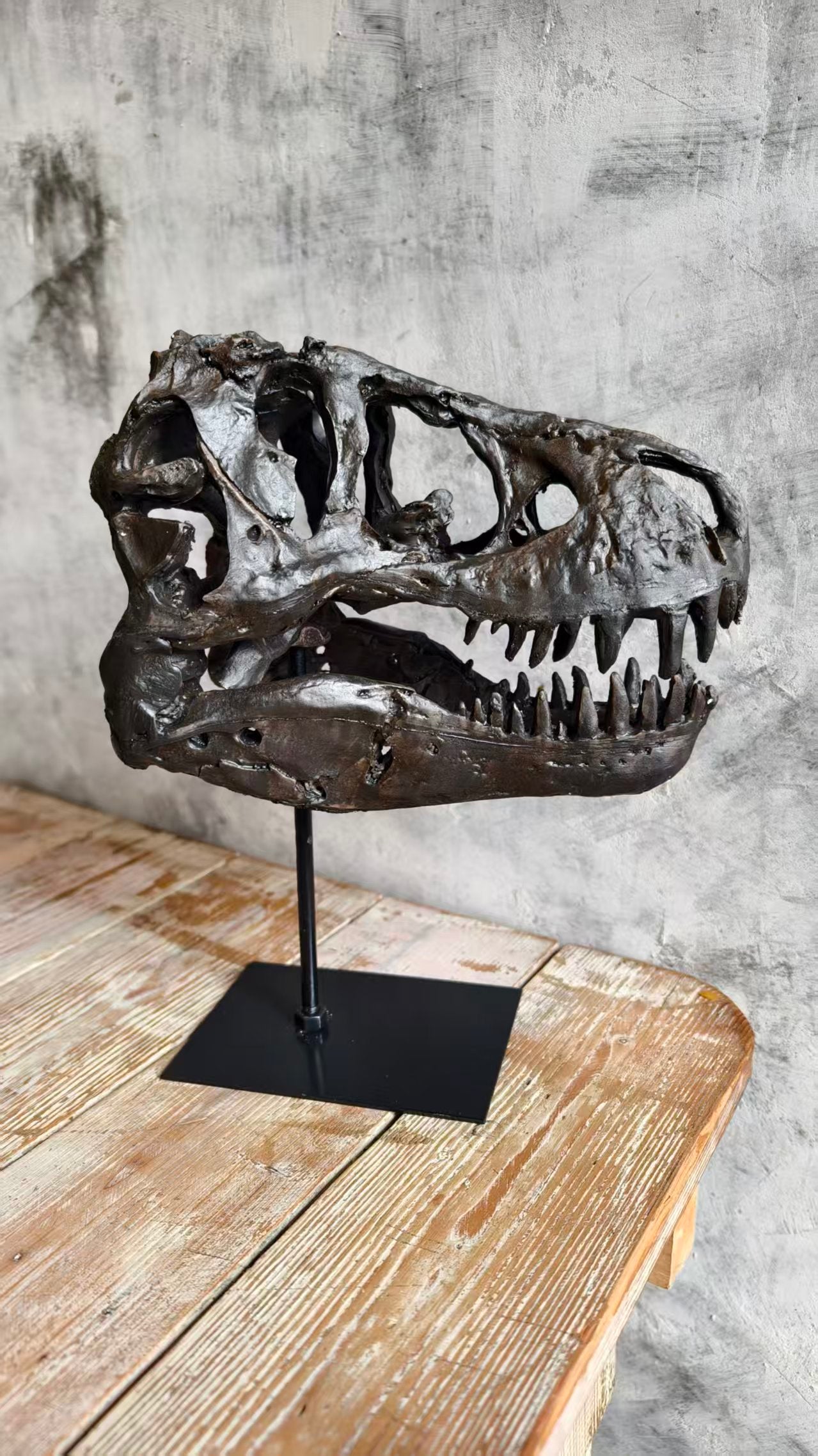 Realistic Tyrannosaurus (T-Rex) Skull Replica